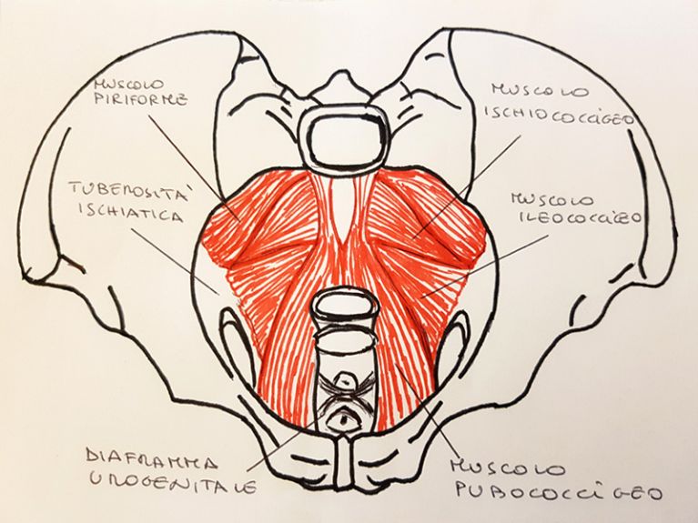 Proctologo donna Bologna Morganti Marinella
